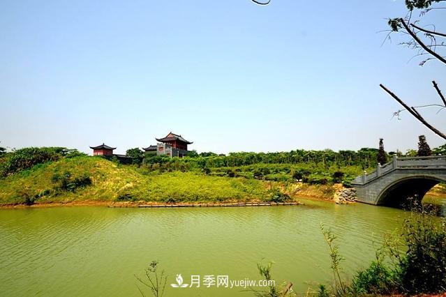 江西南昌天香園走紅，有3萬余的盆景，是南昌的“花卉之源”(圖2)