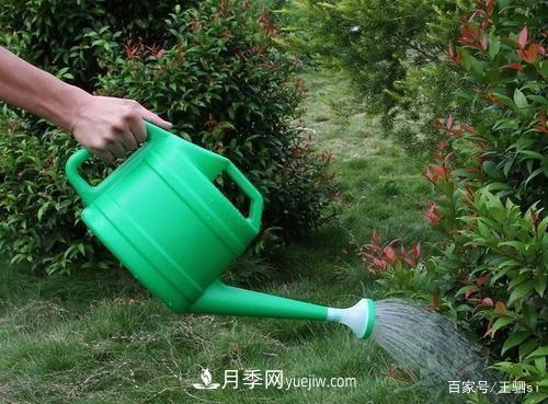 花卉栽培的六大基本工具，你準(zhǔn)備好了嗎？(圖2)