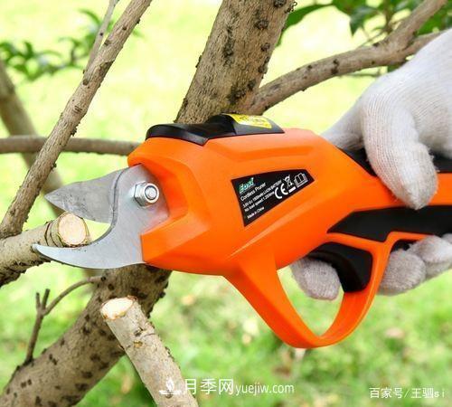 花卉栽培的六大基本工具，你準(zhǔn)備好了嗎？(圖4)