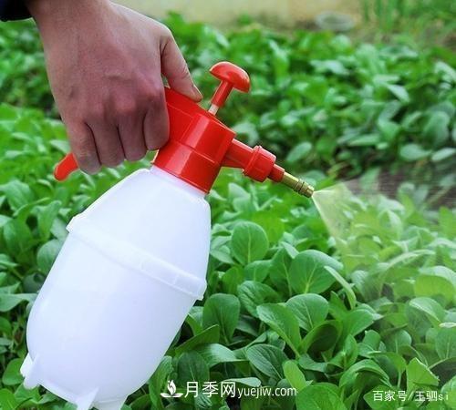 花卉栽培的六大基本工具，你準(zhǔn)備好了嗎？(圖3)