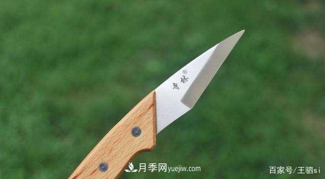 花卉栽培的六大基本工具，你準(zhǔn)備好了嗎？(圖6)