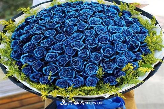 玫瑰花語是什么？盤點五個顏色的玫瑰花語(圖2)