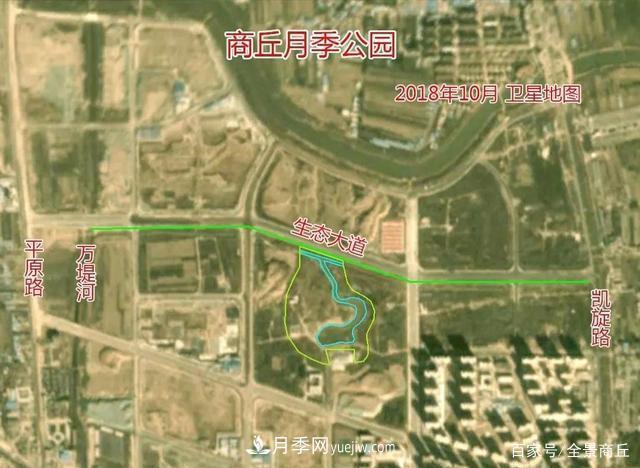 商丘的“市花”和“市樹(shù)”是什么，你能想到了(圖2)
