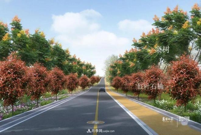 襄陽(yáng)樊城區(qū)景觀“一號(hào)公路”下個(gè)月通車，顏值驚人！(圖6)