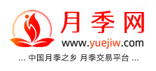 中國(guó)月季網(wǎng)，月季品種介紹和養(yǎng)護(hù)知識(shí)分享專業(yè)網(wǎng)站(圖1)
