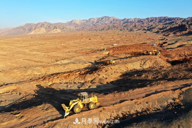 甘肅張掖：元寶楓國家儲備林建設(shè)項目加速推進(圖1)