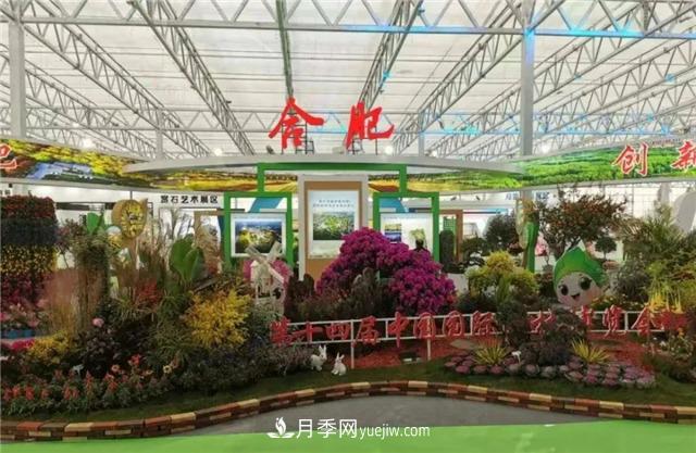 “苗會(huì)”美麗中國(guó) 建設(shè)美好安徽——2020合肥苗木花卉交易大會(huì)開幕(圖1)