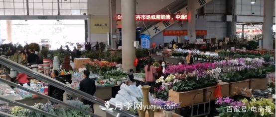 亞洲***大花卉小鎮(zhèn)：昆明斗南玫瑰4毛一支，年銷70億！(圖1)