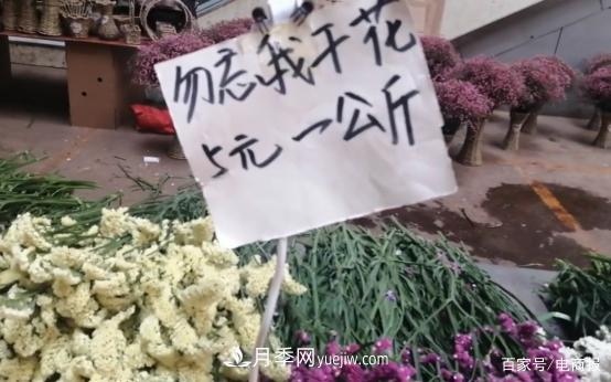 亞洲***大花卉小鎮(zhèn)：昆明斗南玫瑰4毛一支，年銷70億！(圖3)