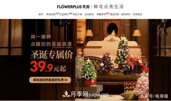 亞洲***大花卉小鎮(zhèn)：昆明斗南玫瑰4毛一支，年銷70億！(圖4)
