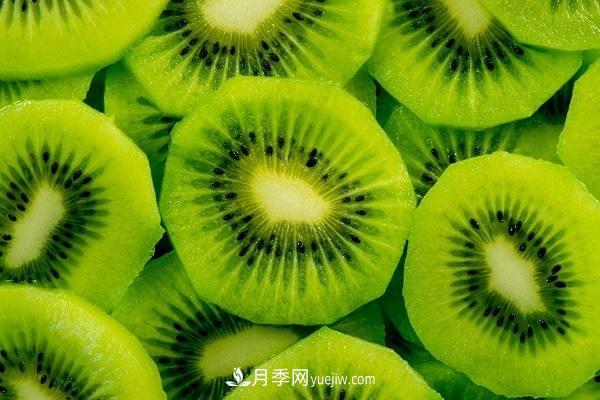 西峽獼猴桃的十大功效，對人體有哪些好處(圖1)