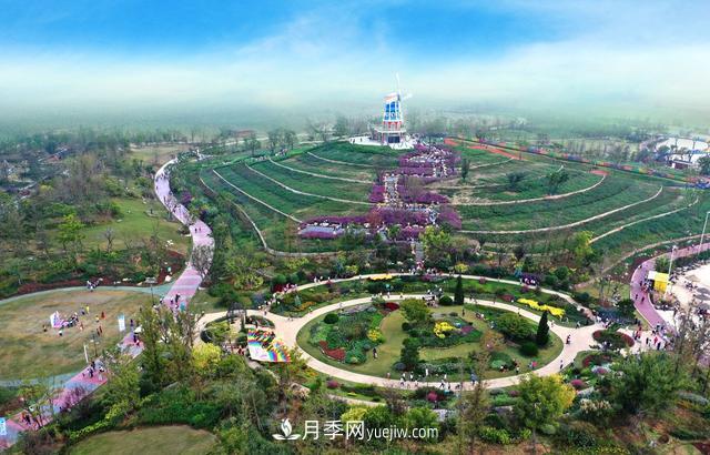 合肥苗交會(huì)簽約77億元，合作成果豐碩(圖3)