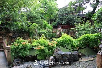 據(jù)說中國(guó)人每到一個(gè)地方，都要去看看當(dāng)?shù)氐膱@林？(圖3)