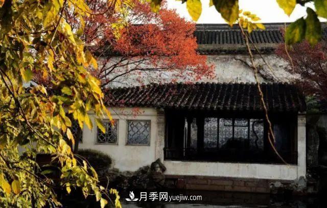 據(jù)說中國(guó)人每到一個(gè)地方，都要去看看當(dāng)?shù)氐膱@林？(圖1)
