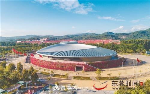 初冬時節(jié)，東莞市長安鎮(zhèn)時令花卉大放異彩令人賞心悅目(圖1)