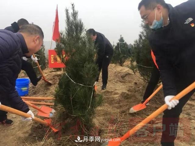 為冬日添新綠！南陽市開展千人義務植樹活動(圖1)