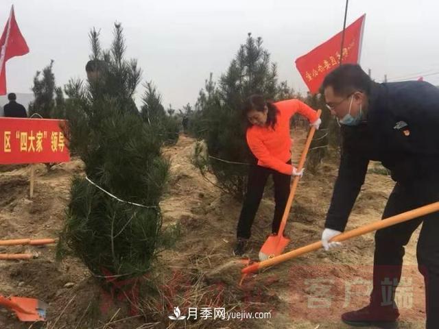 為冬日添新綠！南陽市開展千人義務植樹活動(圖2)
