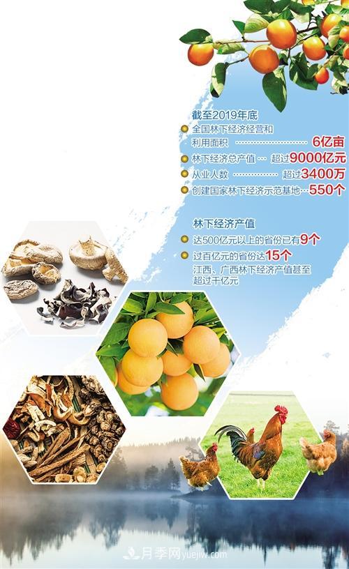 林下經(jīng)濟讓優(yōu)勢資源不再沉睡(圖1)