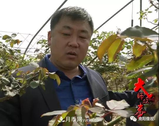創(chuàng)新帶動(dòng)南陽(yáng)月季產(chǎn)業(yè)新發(fā)展——王超(圖1)