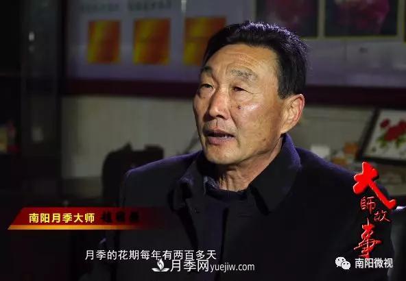 南陽月季大師——趙國強(qiáng)(圖1)