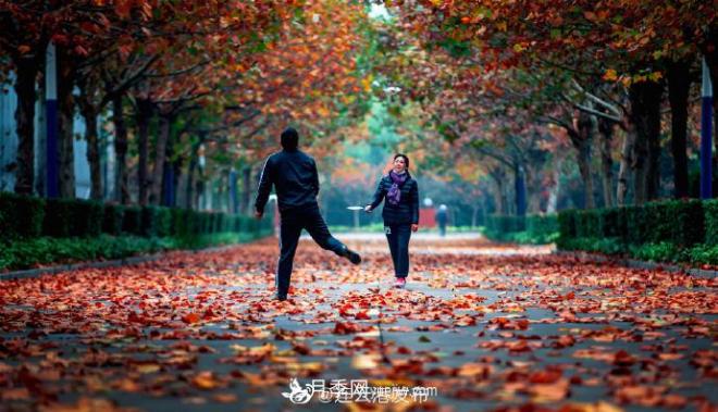 連云港灌云：撩人，滿城風(fēng)景看不盡(圖3)