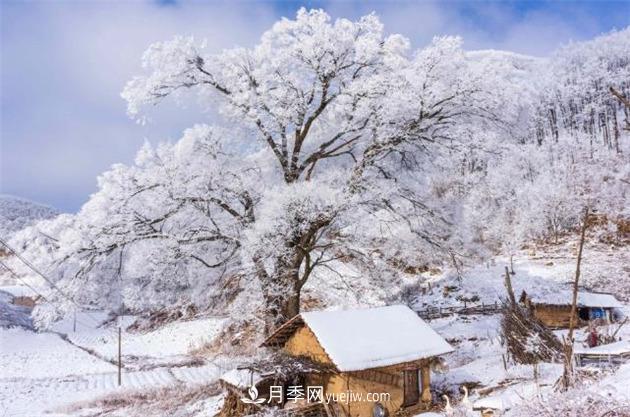 湖北襄陽(yáng)?？担焊呱届F凇美如畫(圖1)