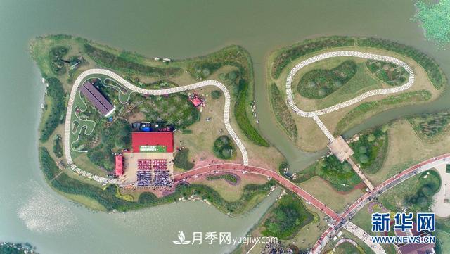 回顧記錄，中國月季展覽會(huì)花開阜陽(圖2)