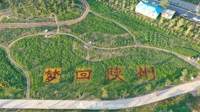三門(mén)峽陜州區(qū)：打造田園綜合體 美了鄉(xiāng)村富了鄉(xiāng)親(圖3)