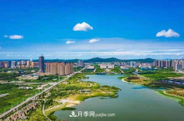 淮南市花、市樹是什么？是月季嗎？(圖1)