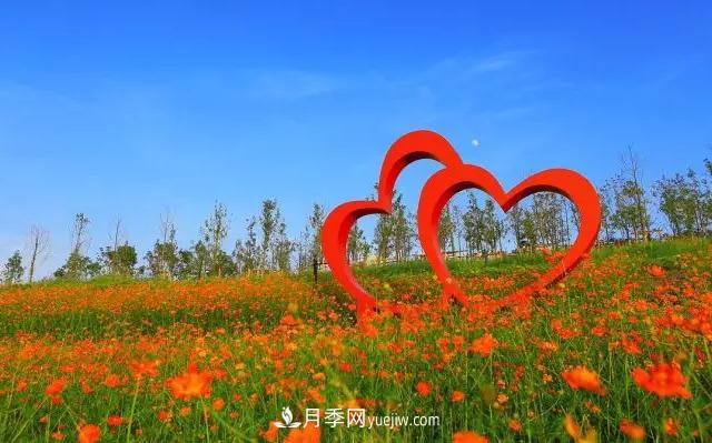 新余凱光植物園，新余人看月季的好地方(圖3)