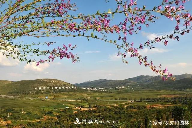 安徽淮北旅游，9個(gè)必去的景點(diǎn)盤點(diǎn)(圖1)