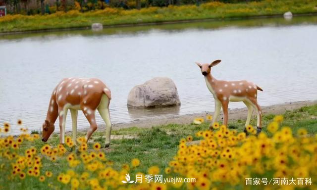 許昌投資2.9億多元，30個園林綠化項目讓許昌更美！(圖3)