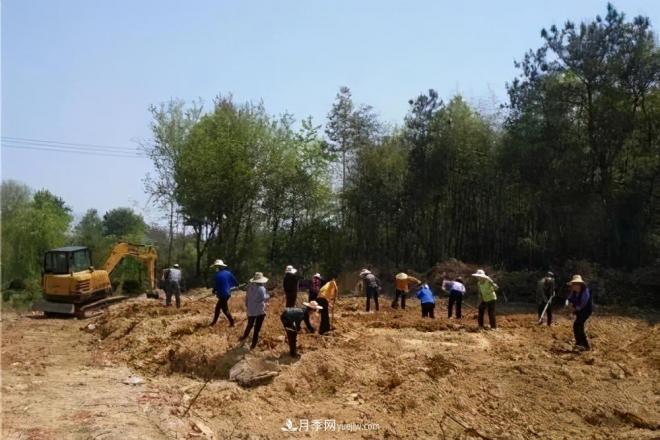 注意，2021年農(nóng)田5不準(zhǔn)：違規(guī)罰上萬(wàn)，關(guān)系戶(hù)都沒(méi)用(圖2)