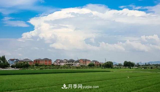 注意，2021年農(nóng)田5不準(zhǔn)：違規(guī)罰上萬(wàn)，關(guān)系戶(hù)都沒(méi)用(圖1)