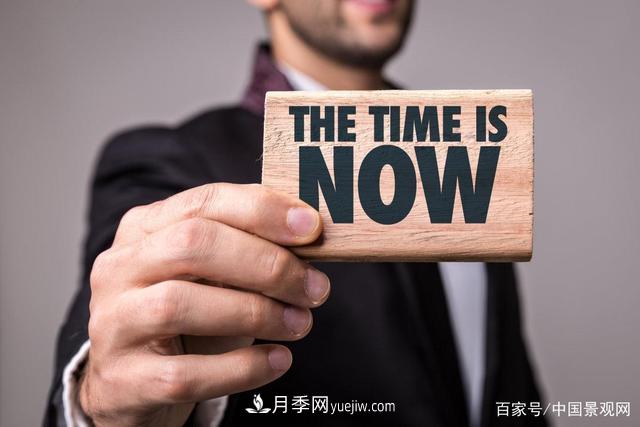 “站在風(fēng)口上，豬都能飛起來！”園林苗木行業(yè)的下一個風(fēng)口在哪？(圖1)