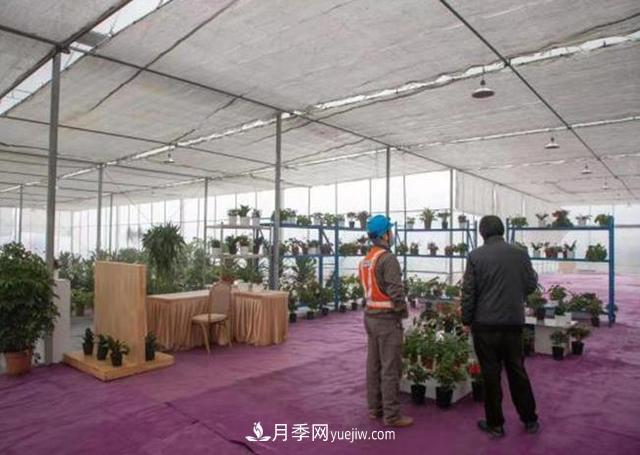 杭州“護(hù)花使者”讓苗木健康過(guò)冬(圖1)