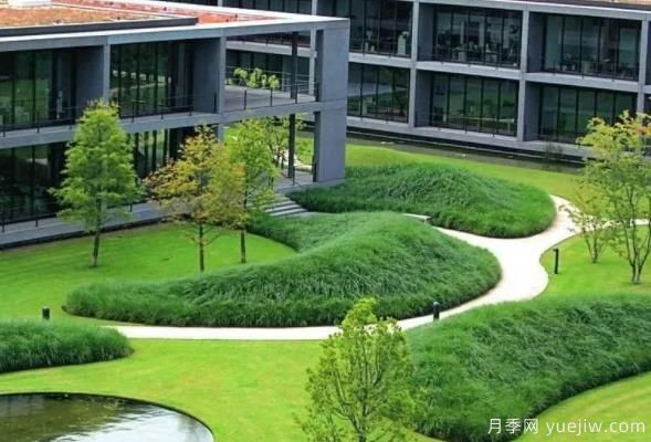 怎樣判斷草坪質(zhì)量的好壞？看4個(gè)評(píng)價(jià)指標(biāo)(圖1)