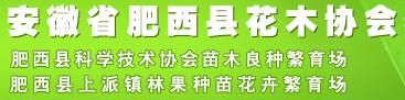 安徽省肥西縣花木協(xié)會(huì)(圖1)
