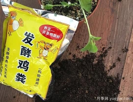 花卉綠植常用三大花肥分析，有機(jī)肥、無(wú)機(jī)肥、發(fā)酵各種糞(圖1)