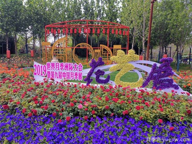 月季名園：南陽世界月季大觀園(圖4)