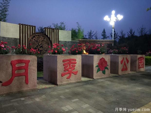 月季名園：南陽月季公園(圖2)