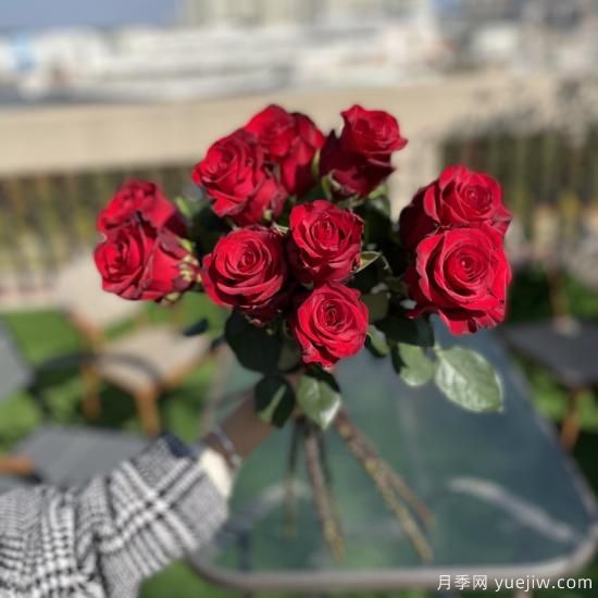 花店常備的15種紅玫瑰是什么？有什么優(yōu)缺點(diǎn)？(圖2)