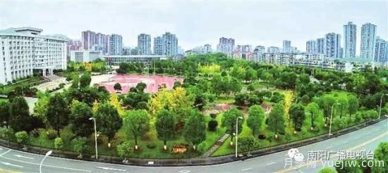 百萬(wàn)月季進(jìn)城，南陽(yáng)全力以赴創(chuàng)建國(guó)家生態(tài)園林城市(圖3)