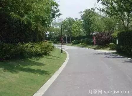 ***全常用草坪品種、優(yōu)點缺點和施工要點(圖16)