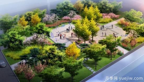 12個(gè)月份的園林設(shè)計(jì)與養(yǎng)護(hù)技術(shù)要點(diǎn)(圖1)
