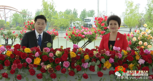 2022年第十三屆南陽月季花會(huì)開幕，南陽電臺(tái)全媒體直播(圖1)