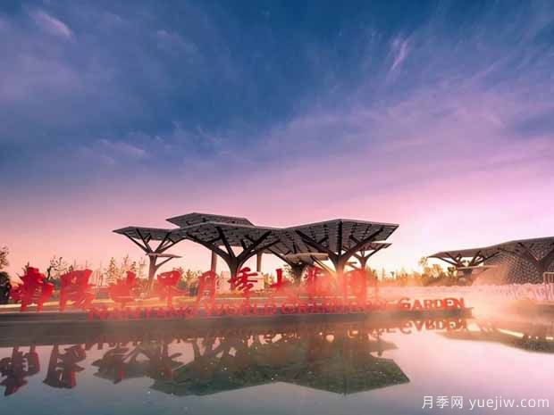 第十三屆南陽月季花會(huì)于2022年4月28日至5月8日舉辦(圖5)