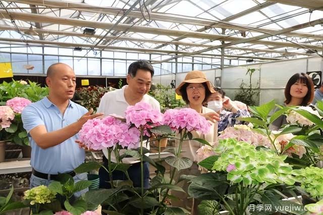 陜西省花卉產(chǎn)業(yè)創(chuàng)新發(fā)展論壇舉行，培育陜花地域品牌(圖1)