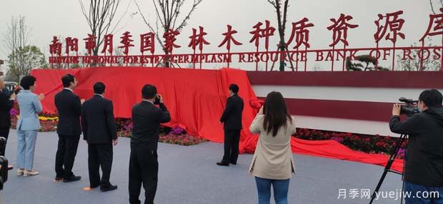 南陽市月季國家林木種質資源庫成立，打造南陽月季甲天下(圖2)