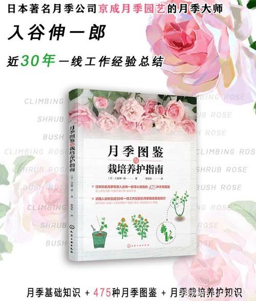 月季圖書：入谷伸一郎《月季圖鑒與栽培養(yǎng)護指南》(圖1)